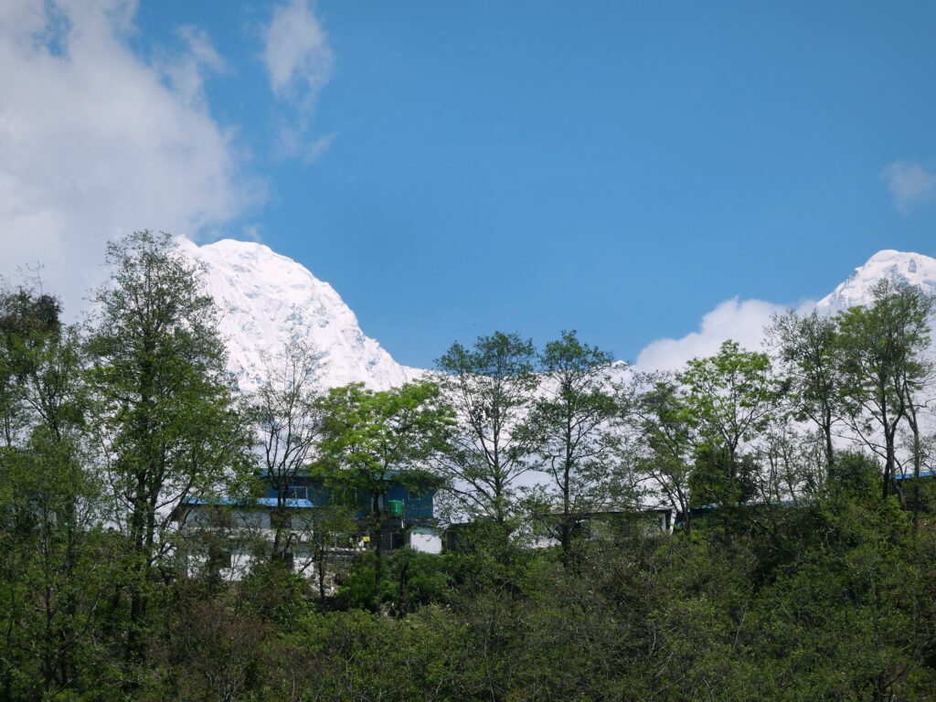 Postcards from My Ghandruk Trip: A Serene Spring Escape in the Himalayas, Saru's Postcards, Sarus Postcards , Ghandruk travel blog, Ghandruk trip in spring, Annapurna village trek, Himalayan village Nepal, Ghandruk sunrise view, Spring in Ghandruk, Nepal trekking April, Macchapucchre, Mountain View Nepal