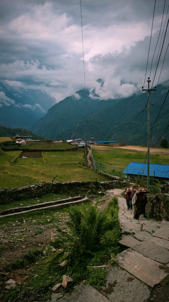 Postcards from My Ghandruk Trip: A Serene Spring Escape in the Himalayas, Saru's Postcards, Sarus Postcards , Ghandruk travel blog, Ghandruk trip in spring, Annapurna village trek, Himalayan village Nepal, Ghandruk sunrise view, Spring in Ghandruk, Nepal trekking April, Macchapucchre, Mountain View Nepal