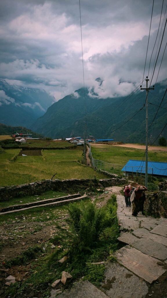 Postcards from My Ghandruk Trip: A Serene Spring Escape in the Himalayas, Saru's Postcards, Sarus Postcards , Ghandruk travel blog, Ghandruk trip in spring, Annapurna village trek, Himalayan village Nepal, Ghandruk sunrise view, Spring in Ghandruk, Nepal trekking April, Macchapucchre, Mountain View Nepal