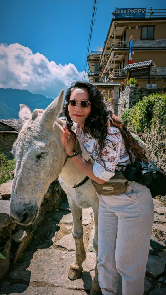 Postcards from My Ghandruk Trip: A Serene Spring Escape in the Himalayas, Saru's Postcards, Sarus Postcards , Ghandruk travel blog, Ghandruk trip in spring, Annapurna village trek, Himalayan village Nepal, Ghandruk sunrise view, Spring in Ghandruk, Nepal trekking April, Macchapucchre, Mountain View Nepal