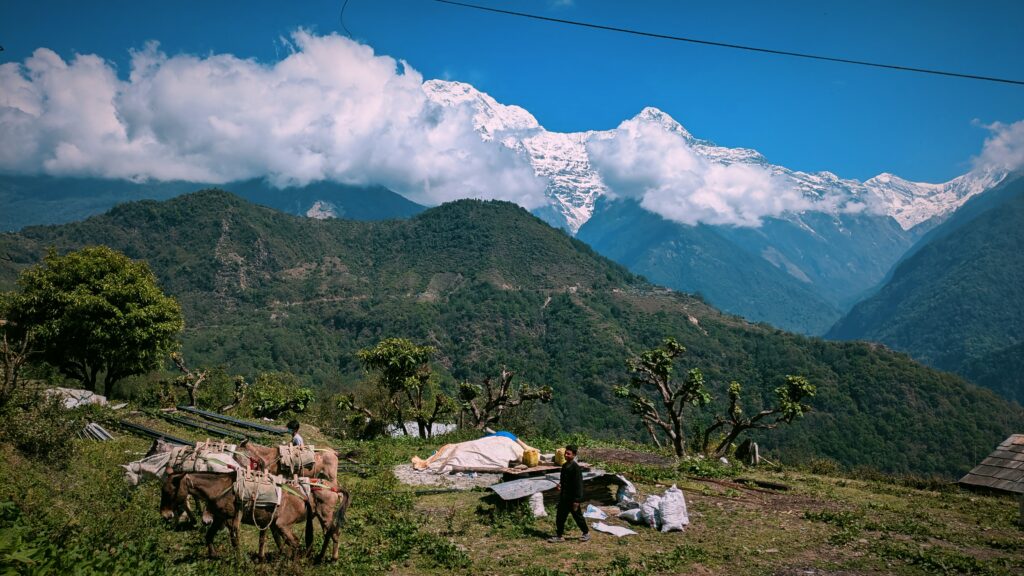 Postcards from My Ghandruk Trip: A Serene Spring Escape in the Himalayas, Saru's Postcards, Sarus Postcards , Ghandruk travel blog, Ghandruk trip in spring, Annapurna village trek, Himalayan village Nepal, Ghandruk sunrise view, Spring in Ghandruk, Nepal trekking April, Macchapucchre, Mountain View Nepal