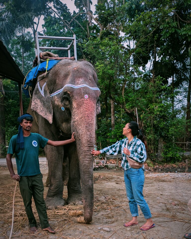 Postcards from My Chitwan Trip: 2 Days of Jungle Walks, Elephants, and Rainy Safaris, chitwan national park, chitwan nepal, nepal travel diary, nepal travel idea, nepal travel , saru's postcards , travel blog, nepal travel experience