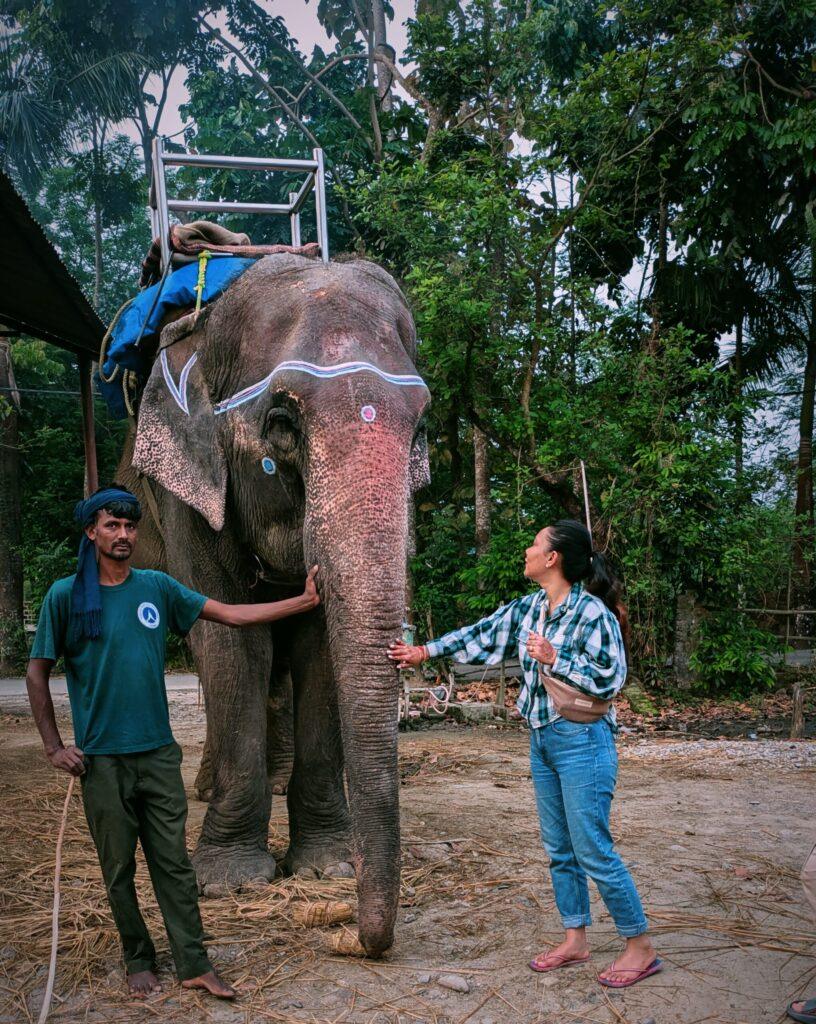 Postcards from My Chitwan Trip: 2 Days of Jungle Walks, Elephants, and Rainy Safaris, chitwan national park, chitwan nepal, nepal travel diary, nepal travel idea, nepal travel , saru's postcards , travel blog, nepal travel experience