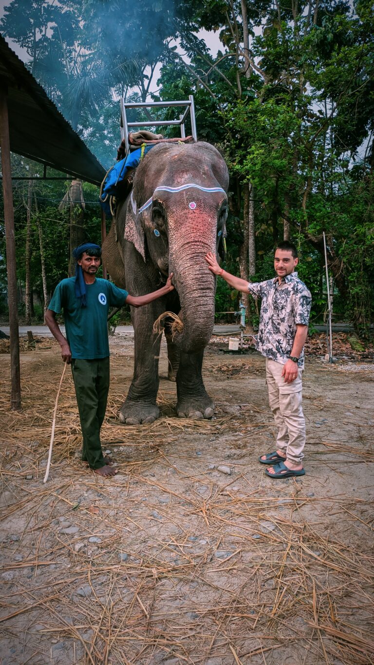 Postcards from My Chitwan Trip: 2 Days of Jungle Walks, Elephants, and Rainy Safaris, chitwan national park, chitwan nepal, nepal travel diary, nepal travel idea, nepal travel , saru's postcards , travel blog, nepal travel experience, jungle safari, jungle safari nepal, jungle safari chitwan, rhino, elephant