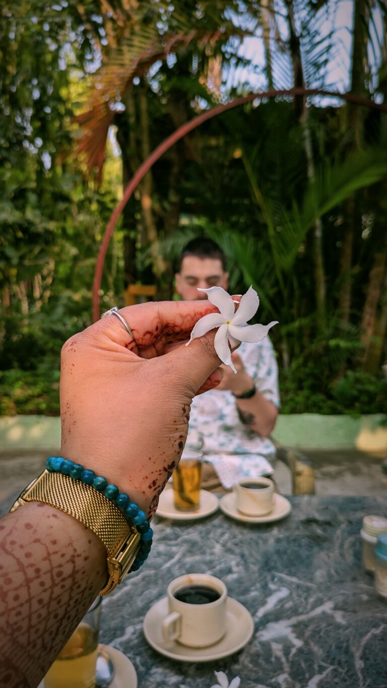Postcards from My Chitwan Trip: 2 Days of Jungle Walks, Elephants, and Rainy Safaris, chitwan national park, chitwan nepal, nepal travel diary, nepal travel idea, nepal travel , saru's postcards , travel blog, nepal travel experience, jungle safari, jungle safari nepal, jungle safari chitwan, rhino, elephant