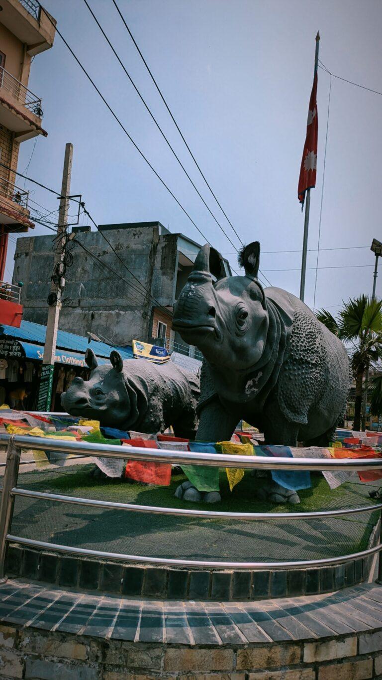 Postcards from My Chitwan Trip: 2 Days of Jungle Walks, Elephants, and Rainy Safaris, chitwan national park, chitwan nepal, nepal travel diary, nepal travel idea, nepal travel , saru's postcards , travel blog, nepal travel experience, jungle safari, jungle safari nepal, jungle safari chitwan, rhino, elephant