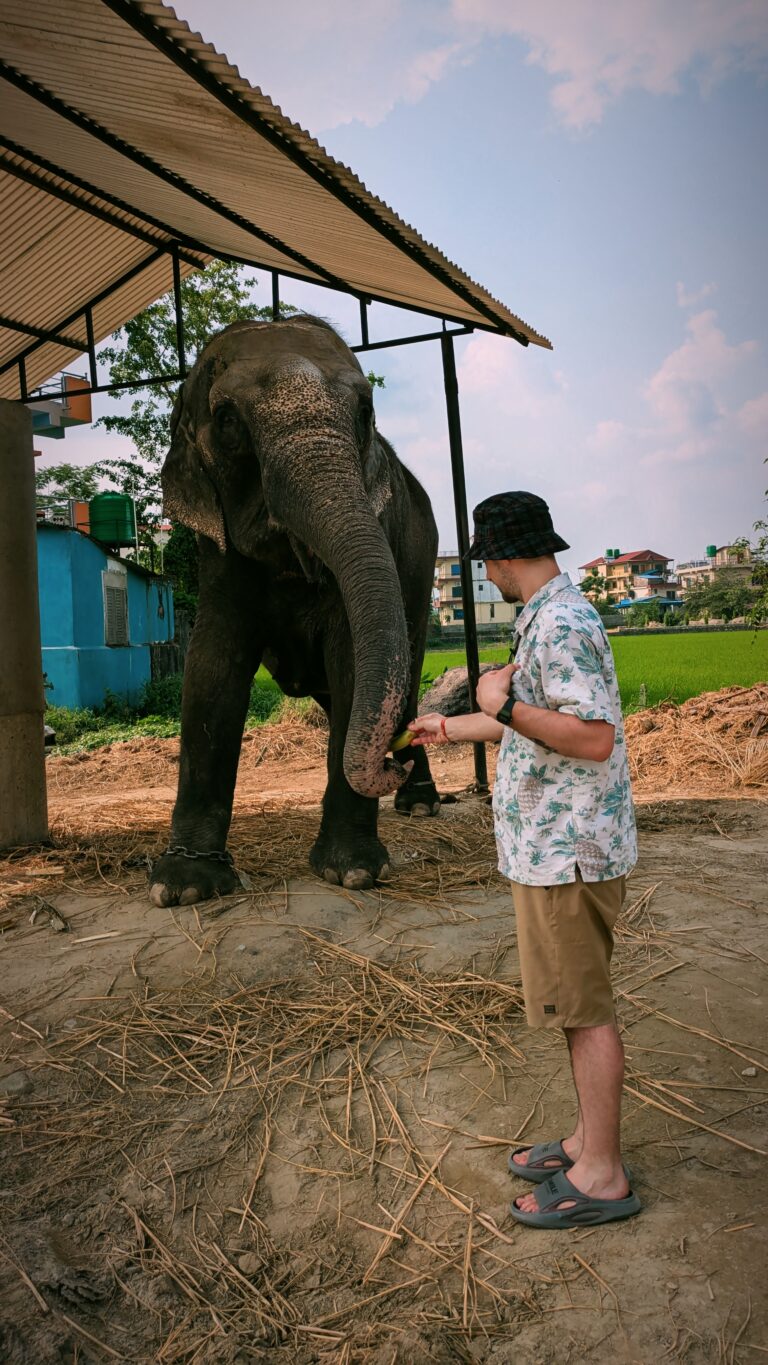 Postcards from My Chitwan Trip: 2 Days of Jungle Walks, Elephants, and Rainy Safaris, chitwan national park, chitwan nepal, nepal travel diary, nepal travel idea, nepal travel , saru's postcards , travel blog, nepal travel experience, jungle safari, jungle safari nepal, jungle safari chitwan, rhino, elephant