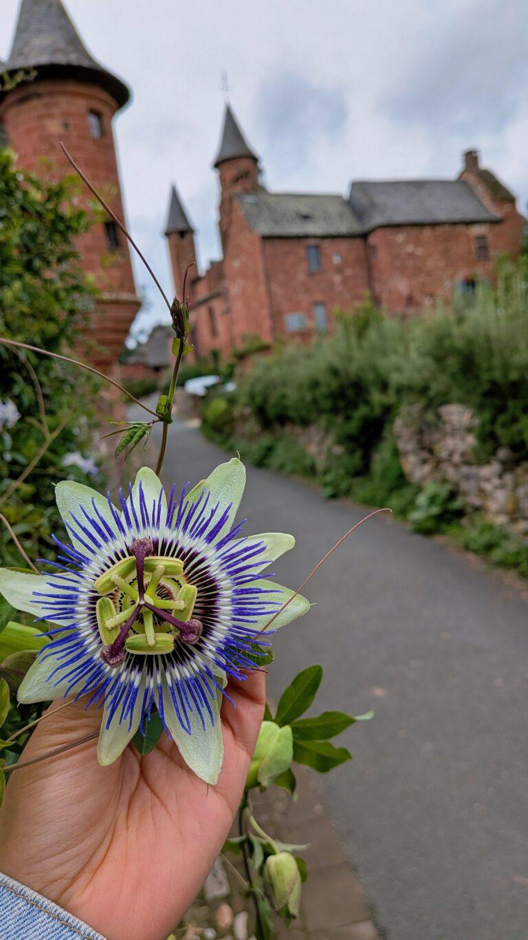 Collonges-la-Rouge: The Red Stone Gem of France